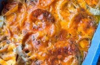 TENNESSEE ONIONS – The Southern Lady Cooks